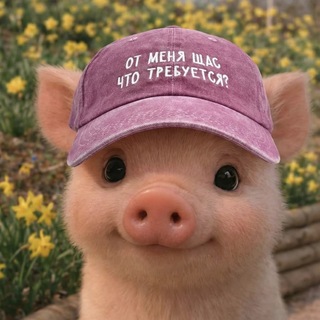 Логотип @gunina_ok - gunina_ok🐷