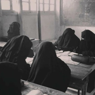 Логотип @guraba_095 - hazinyn.