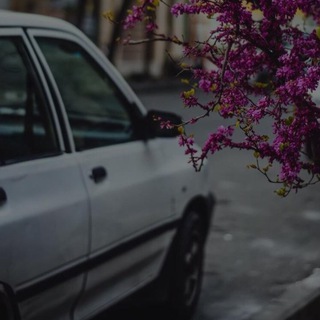 Логотип @guraba_m - ᴍᴜᴠᴀʜʜɪᴅ ོ