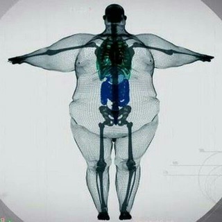 Логотип @gurobaslife - Записки жиробаса