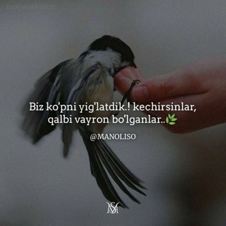 Логотип @gurupaga - Sevgi bu armon