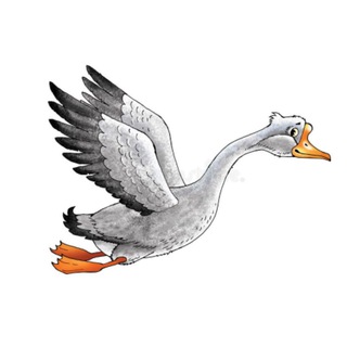 Логотип @gusvrn - С гуся вода