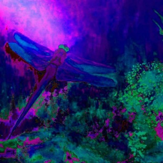 Логотип @gutenabendbilder - Guten Abend Spruch 🌛