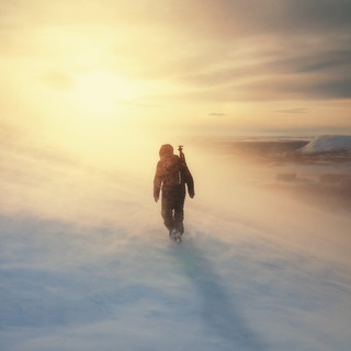 Логотип @guttedcritic - Gutted Critic (GC)