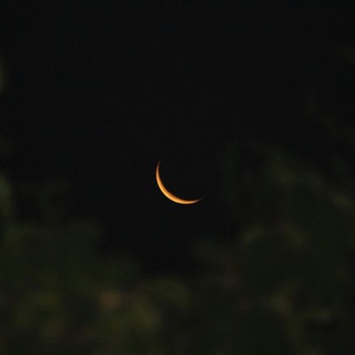 Логотип @guvencea - 𝐠ü𝐯𝐞𝐧𝐜𝐞.