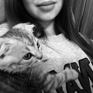 Логотип @gverttti - Звезды