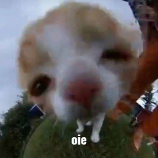 Логотип @gweonid - .