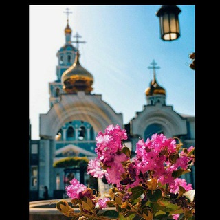 Логотип @gypsysongs - Цыганские песни