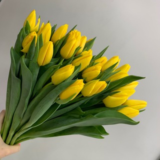 Логотип @gzh138 - Горзеленхоз. Цветы. Иркутск Chat