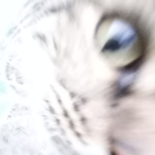 Логотип @h9imetop - h9ime | info