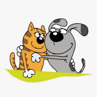 Логотип @ha_ha_videos - 🐾КОТИКИ И БОБИКИ🐶