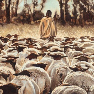 Логотип @haabarru - The Shepherd's word