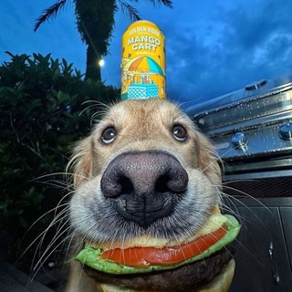 Логотип @haak1doo - хапкидо