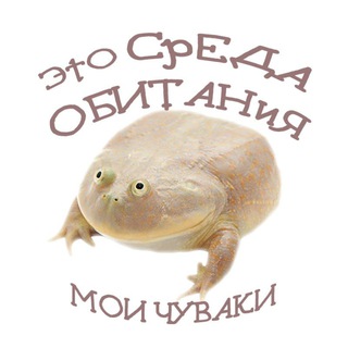 Логотип @habitata - Среда обитания