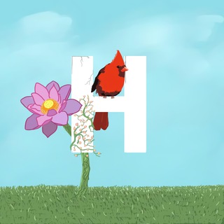 Логотип @habra_chat - ХабраХабр I.T.