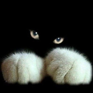 Логотип @hack3310hack - Ban Soft