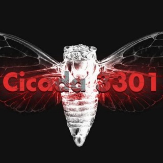 Логотип @hackonion - cicada 3301
