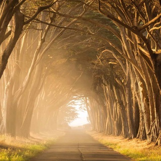 Логотип @hagamosmagiaentuvida - Hagamos Magia En tu Vida