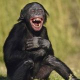 Логотип @hahaanekdot - АНЕКДОТЫ|РЖАКА 🤣 А НЕ ВОТ ЭТО ВОТ ВСЁ