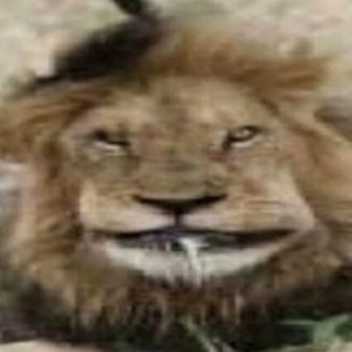 Логотип @hahapictures - Мемические морщины