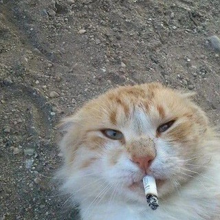 Логотип @hahator - ХаХатор