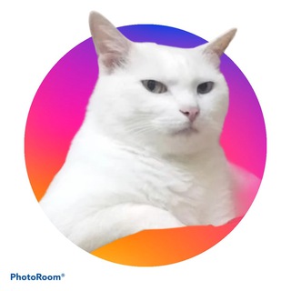 Логотип @hahonki - хихоньки да хахоньки