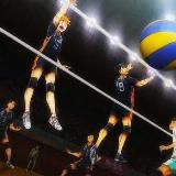 Логотип @haikyuu_anime_all - Волейбол!! / Haikyuu!!