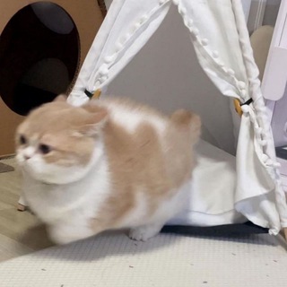 Логотип @haioko_information - Идеи по vfx