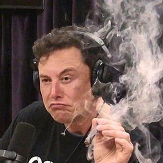 Логотип @halavaotmaska - Халява от Маска