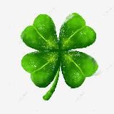 NFT Halva | Новости & Розыгрыши