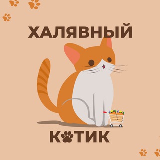 Логотип @halyavnyykot - Халявный Котик 😻