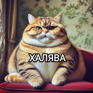 Логотип @halyvuschka - Халява