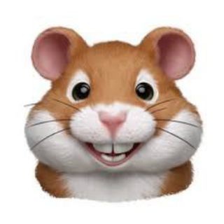 Логотип @hammain - Майнер крипта