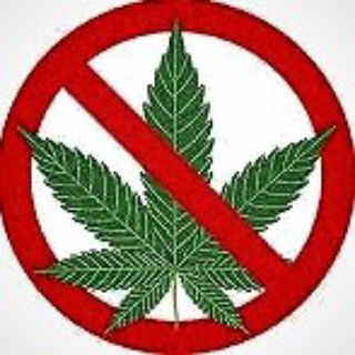 Логотип @hampdrowing - [рест] C21H30O2