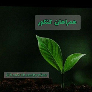 Логотип @hamrahanekonkor - همراهان کنکور | 🌱