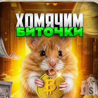 Логотип @hamster_btcs - Хомячим Биточки