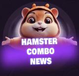 Логотип @hamster_cmb0 - Hamster Kombat | Комбо карточки | Новости RU