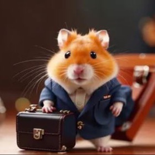 Логотип @hamster_kombat21 - Hamster Kombat Хамстер🚀