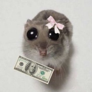 Логотип @hamster_kombat44 - HAMSTER КОМБО | ОБЪЯВЛЕНИЯ | НОВОСТИ