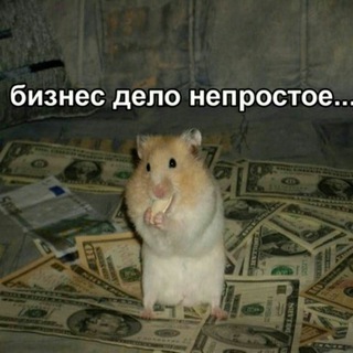 Логотип @hamsters_about_business - Хомяк на WALL STREET|ИНВЕСТИЦИИ