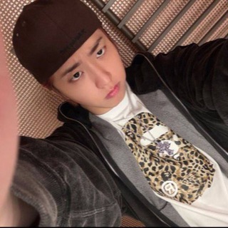 Логотип @han_skz_bumm - Квокка рууум🤎