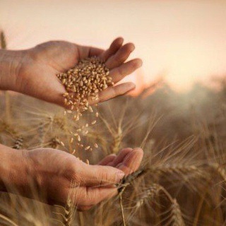 Логотип @handfulsonpurpose - Handfuls On Purpose❤️ *See Ruth chapter 2