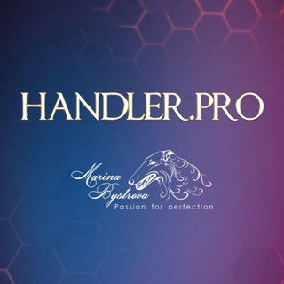 Логотип @handlerpro - HANDLER.pro 🏆