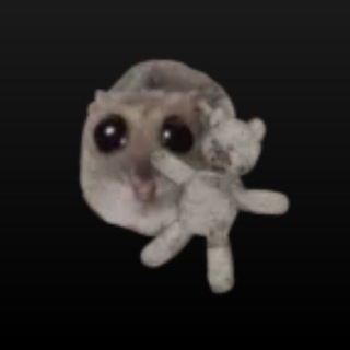 Логотип @hanging_on_to_my_iq - (⁠ಠ⁠_⁠ಠ⁠)