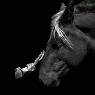 Логотип @hanifablog92 - утешение сердца🩶