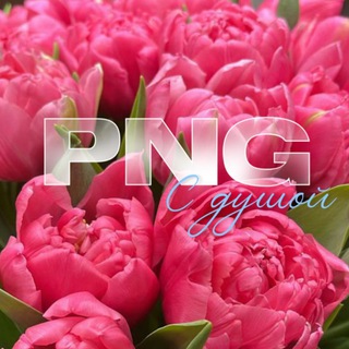 Логотип @hannapng - PNG FOR STORY