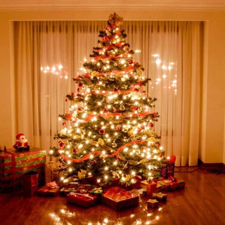 Логотип @happinesstrees - 🎄Елки 🎄