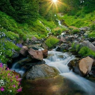 Логотип @happy_canal - Христианский родник