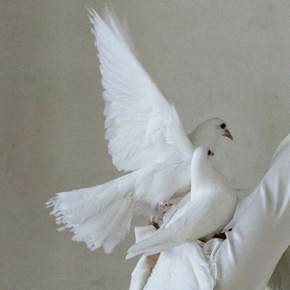 Логотип @happy_life_s - Life is Love❤🪐