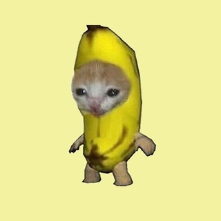 Логотип @happyhappycatcaty - happycat